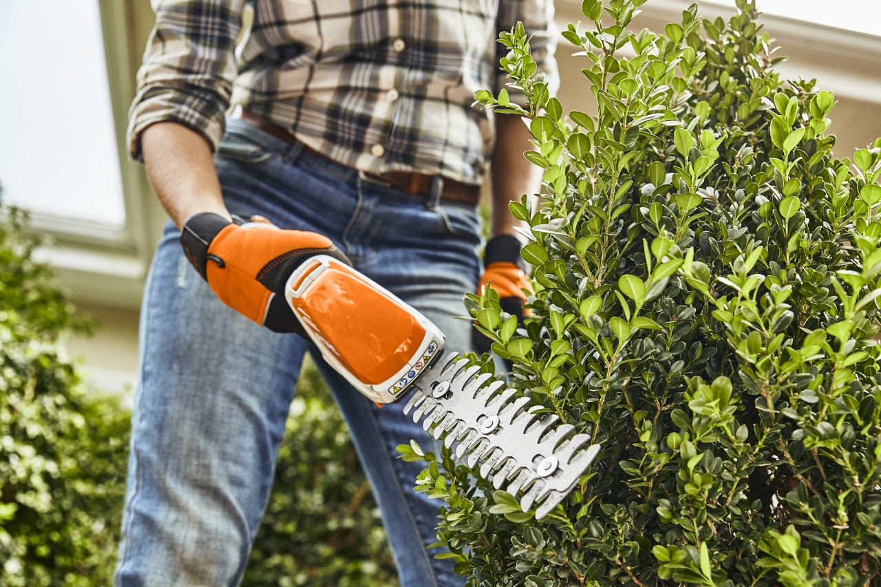 Nahaufnahme, wie mit der Akku-Heckenschere STIHL HSA 26 ein Buchsbaum geschnitten wird