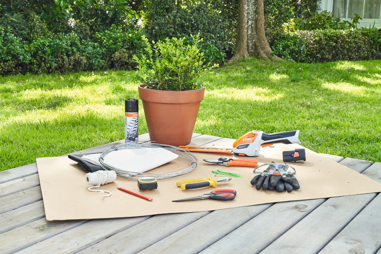 Ungeschnittener Buchsbaum mit Werkzeugen, darunter die Akku-Strauchschere STIHL HSA 26 und die Gartenschere STIHL PG 10