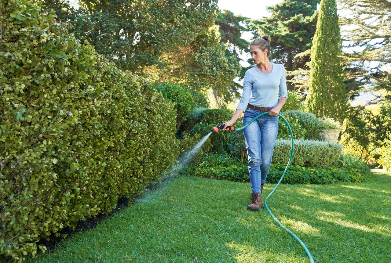 Eine Frau wässert mit einem Gartenschlauch die Hecke 
