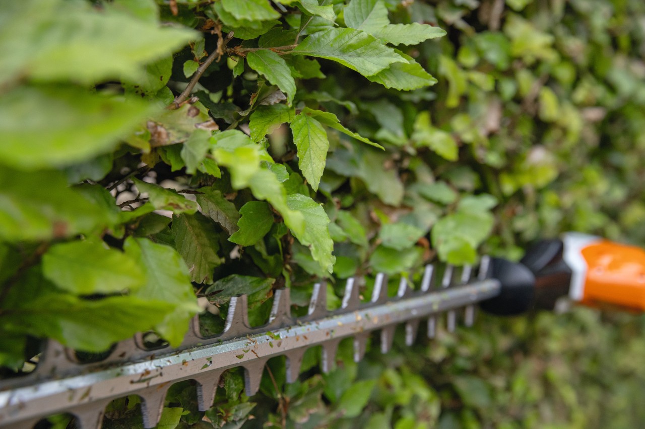 Nahaufnahme eines Akku-Heckenschneiders STIHL HLA 66