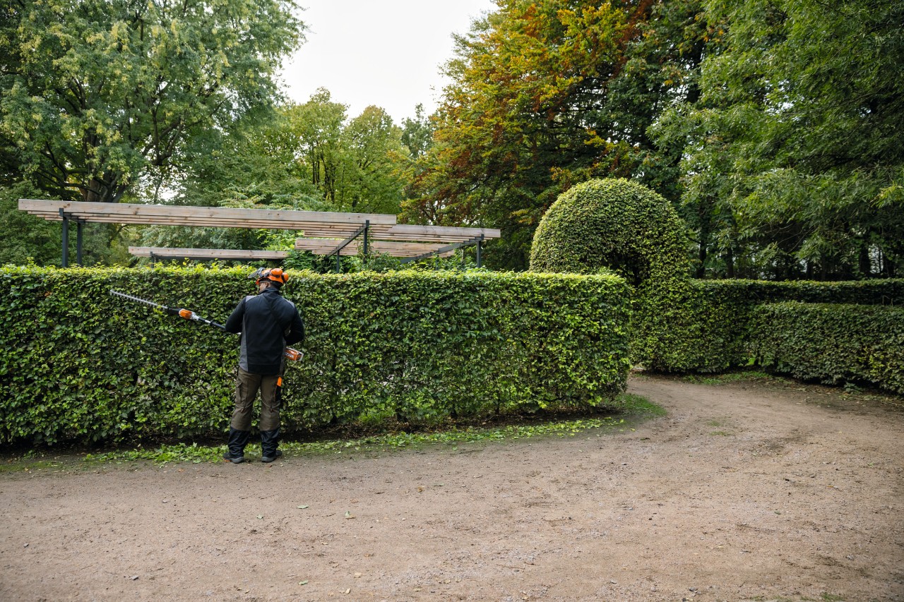 Entfernte Rückenansicht eines Mannes in Schutzausrüstung beim Schneiden einer Buchenhecke mit dem STIHL Heckenschneider HLA 66