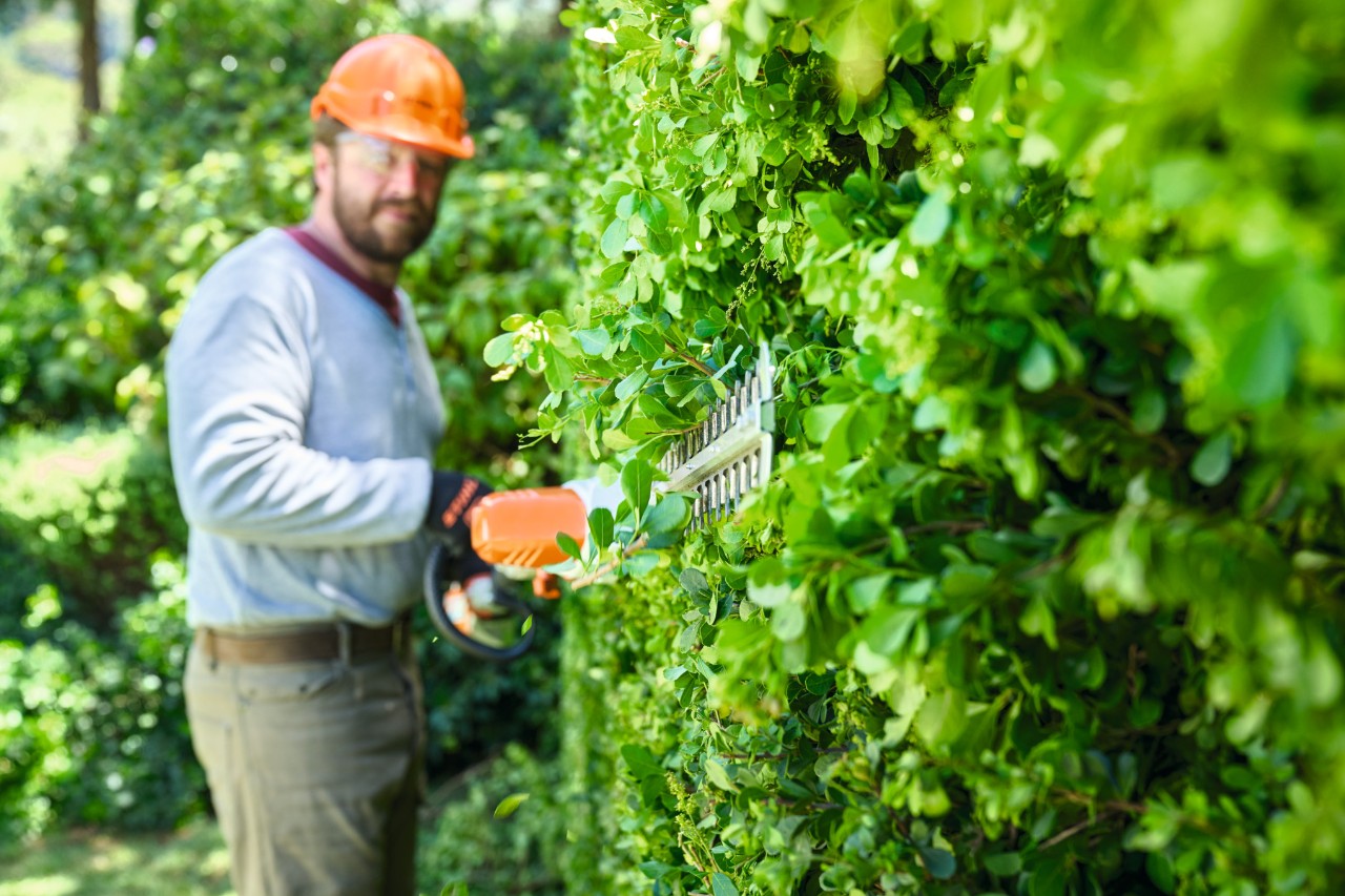 Ein Mann in Schutzausrüstung schneidet mit einem Akku-Heckenschneider STIHL HLA 56 von unten nach oben eine Hecke