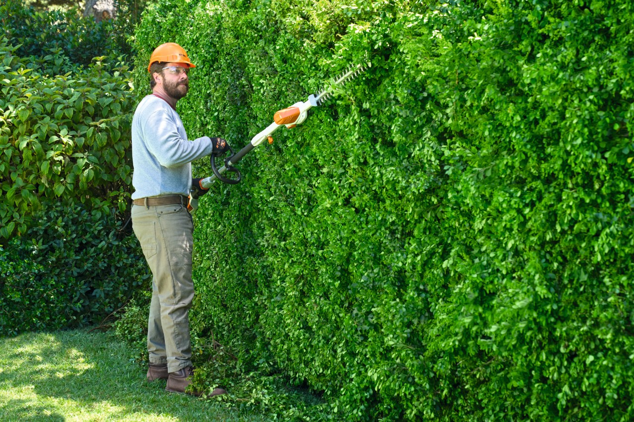 Ein Mann verwendet einen Akku-Heckenschneider STIHL HLA 56 mit ausgefahrenem Teleskoparm, um eine hohe Hecke zu schneiden