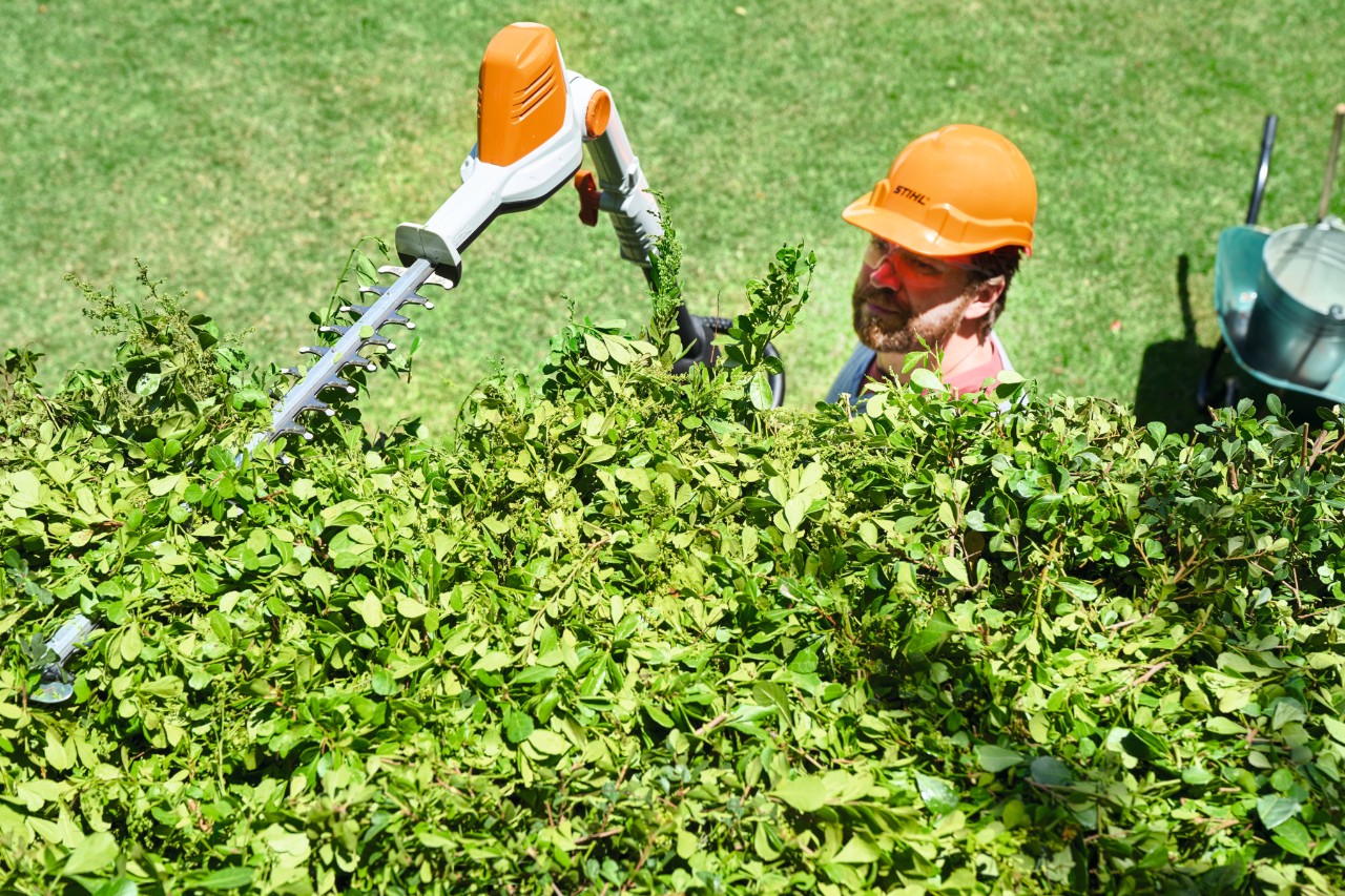 Vogelperspektive zeigt, wie ein Mann in Schutzausrüstung mit dem Akku-Heckenschneider STIHL HLA 56 eine Heckenkrone schneidet 