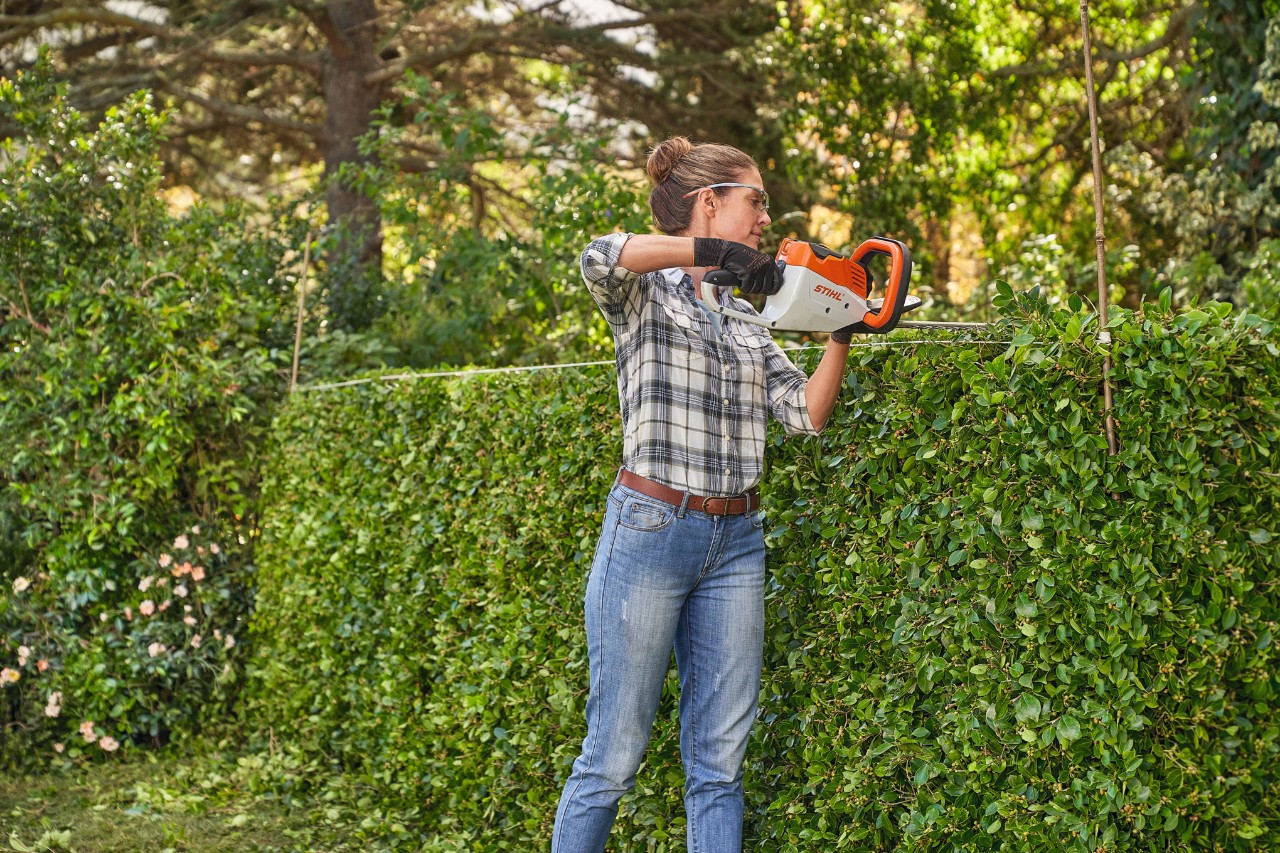 Eine Frau in kariertem Oberteil schneidet mit einer STIHL Akku-Heckenschere Kirschlorbeer in Form