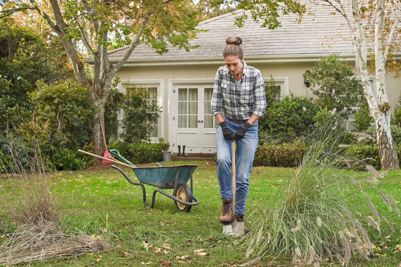 Eine Frau mit STIHL Function SensoTouch Schutzhandschuhen arbeitet mit einem Spaten im Garten, um eine Hecke zu pflanzen 