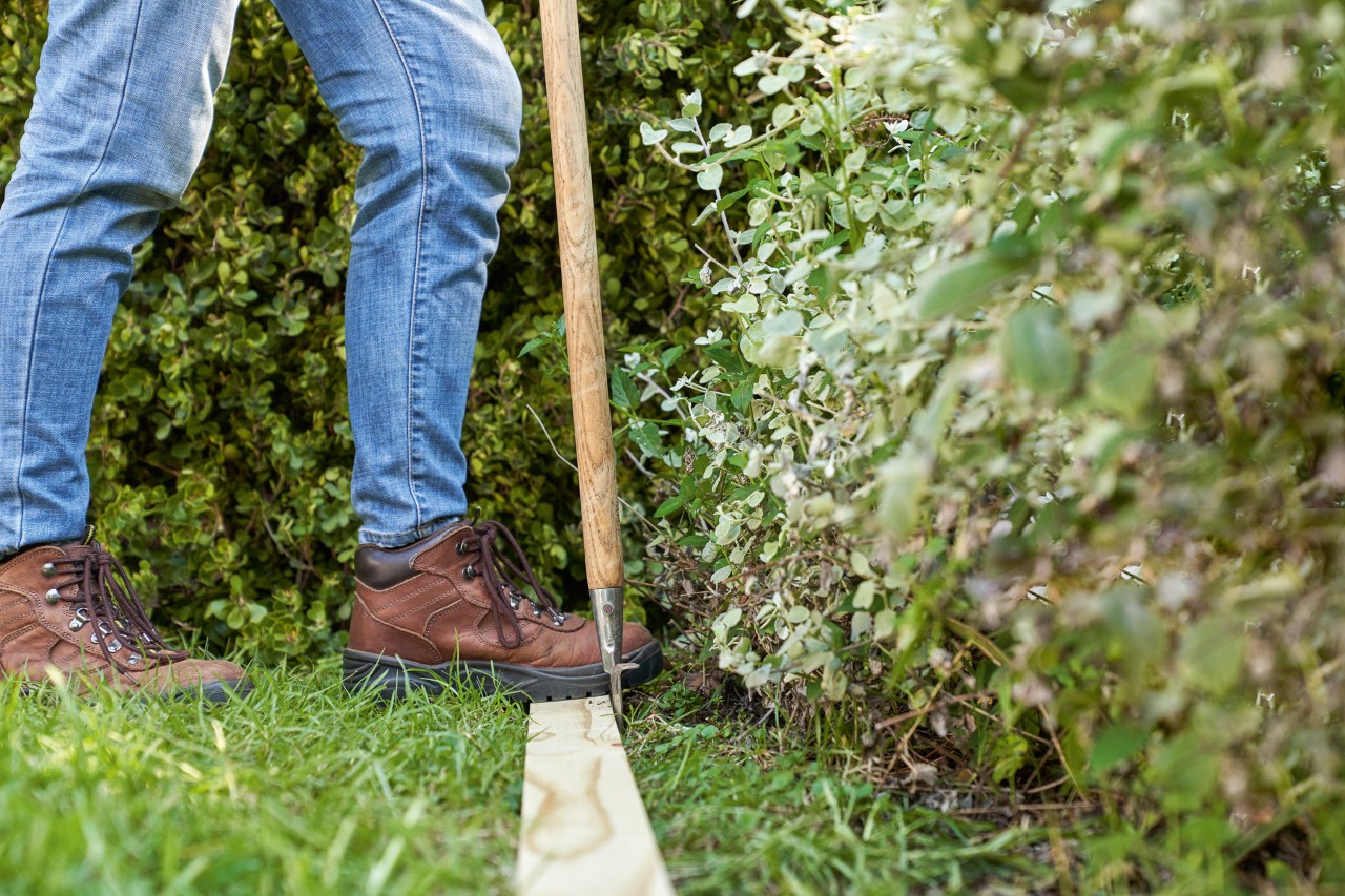 Frau mit STIHL Schutzhandschuhen sticht mit Spaten am Schlauch entlang durch Grasnarbe, um englische Rasenkante anzulegen