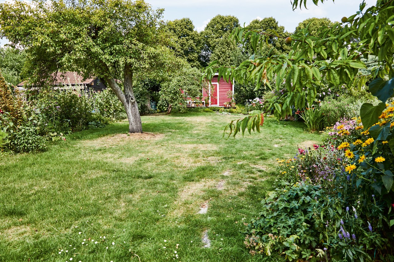 Großes Grundstück mit grünem Rasen, Bäumen, Blumen und einer kleinen roten Hütte