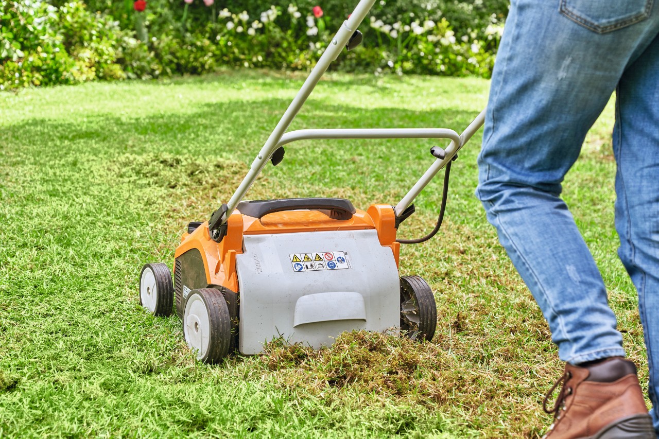 Person vertikutiert Rasen mit einem STIHL Akku-Rasenlüfter RLA 240, um den Rasen anschließend zu erneuern