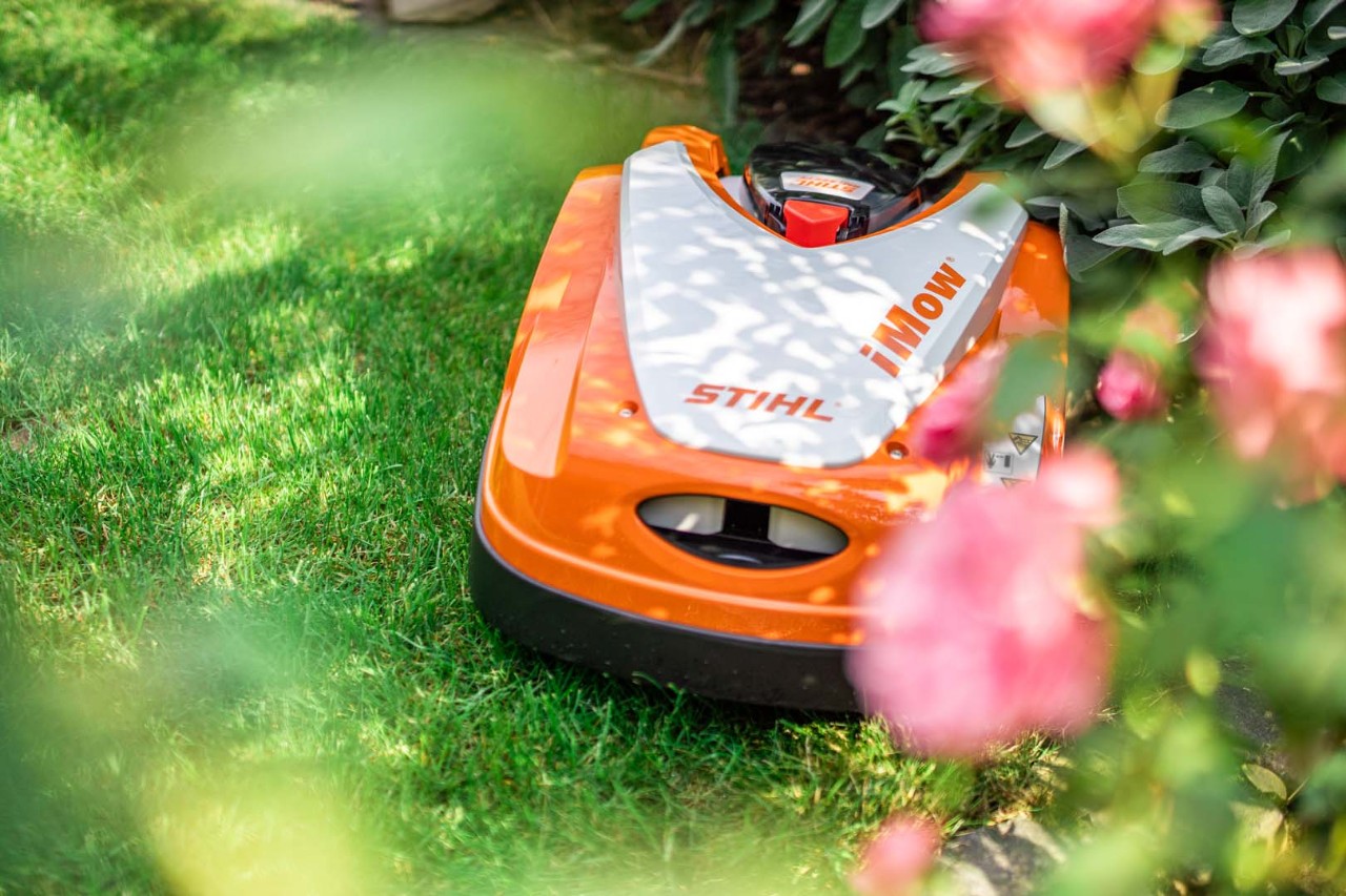 STIHL Mähroboter iMOW® RMI 422 P auf grünem Rasen hinter einem blühenden Busch