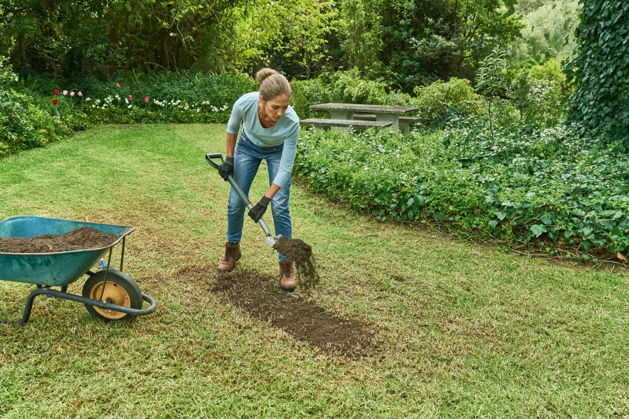 Frau schaufelt im Garten Erde von einer Schubkarre auf den Boden, um ihren Rasen zu reparieren