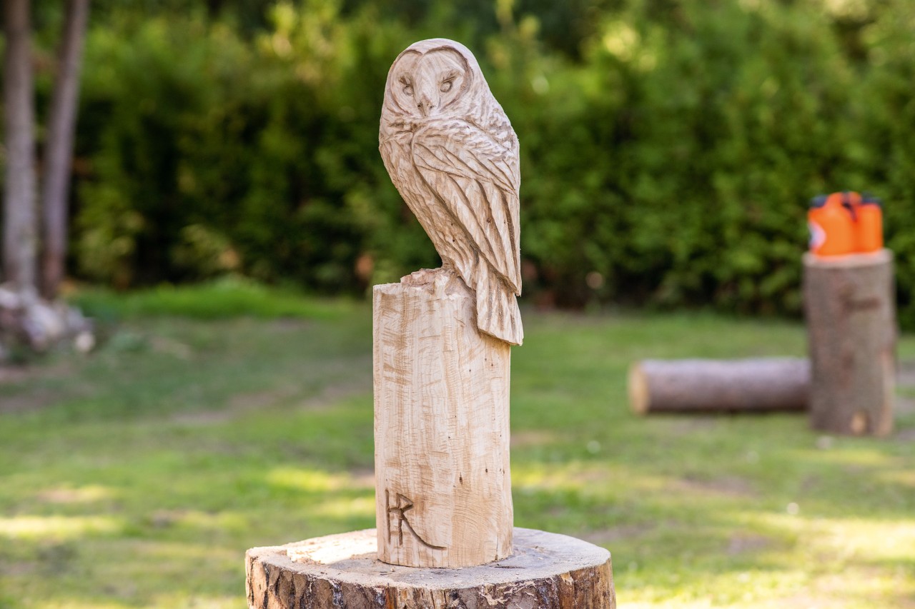 Kunstvolle Eule aus Holz selber schnitzen