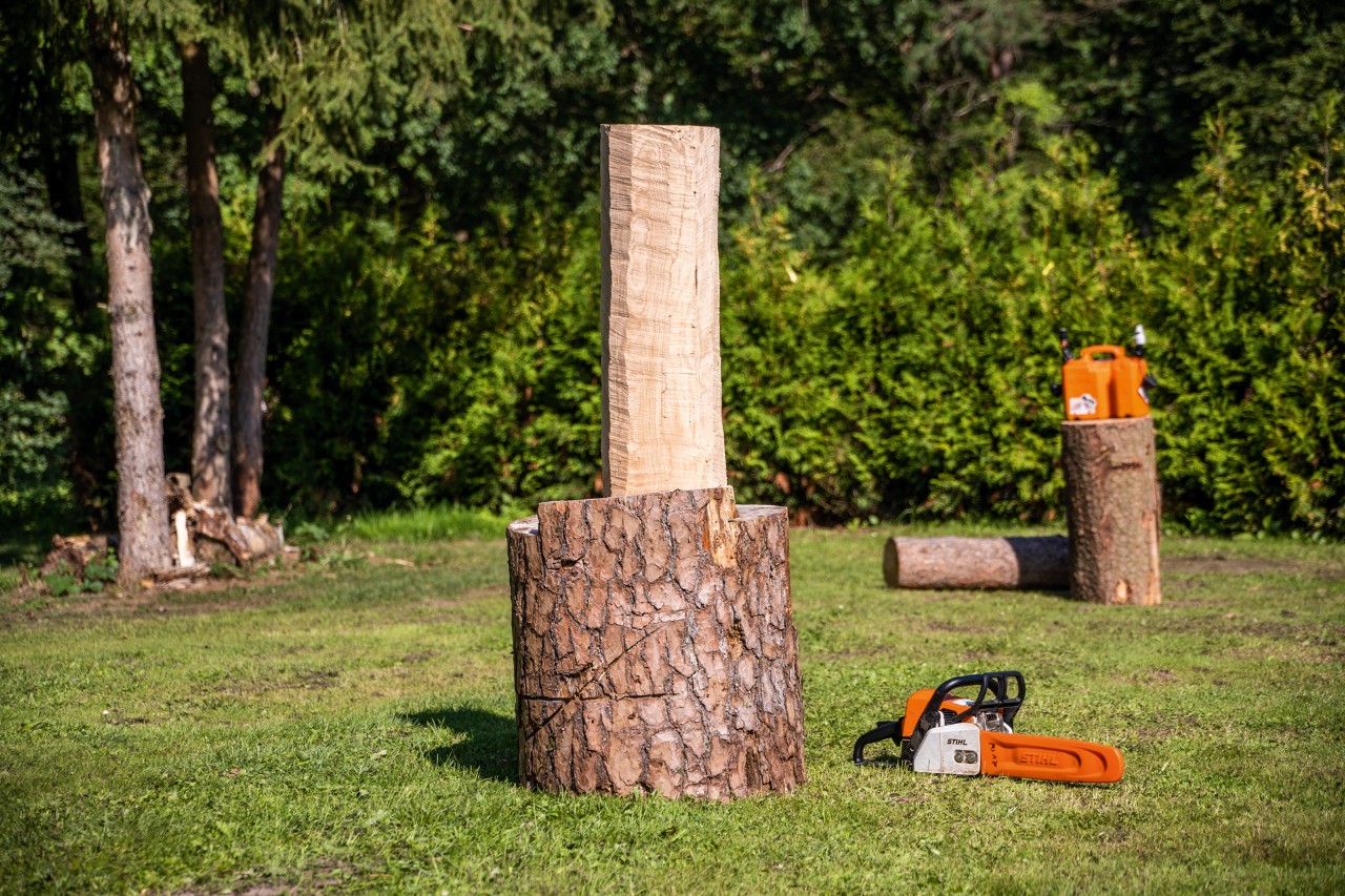 Entrindeter Holzstamm auf Sockel, daneben eine STIHL Kettensäge mit Carving-Garnitur