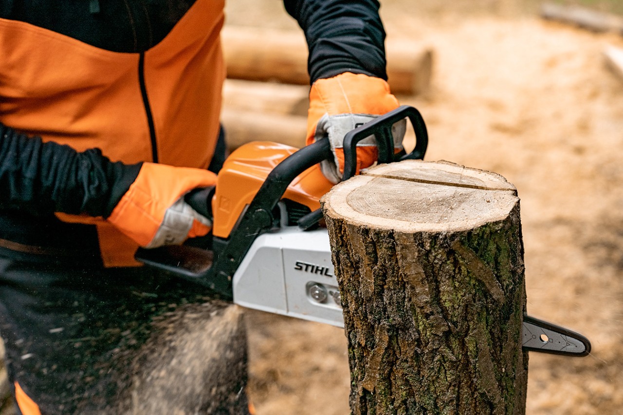 Mit einer STIHL Benzin-Kettensäge MS 170 wird eine Seite eines Baumstammes entfernt
