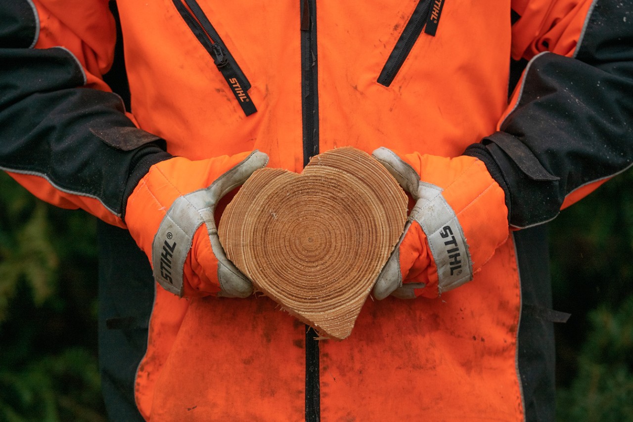 Eine Person in STIHL Arbeitsschutzkleidung hält eine herzförmige Baumscheibe in den Händen