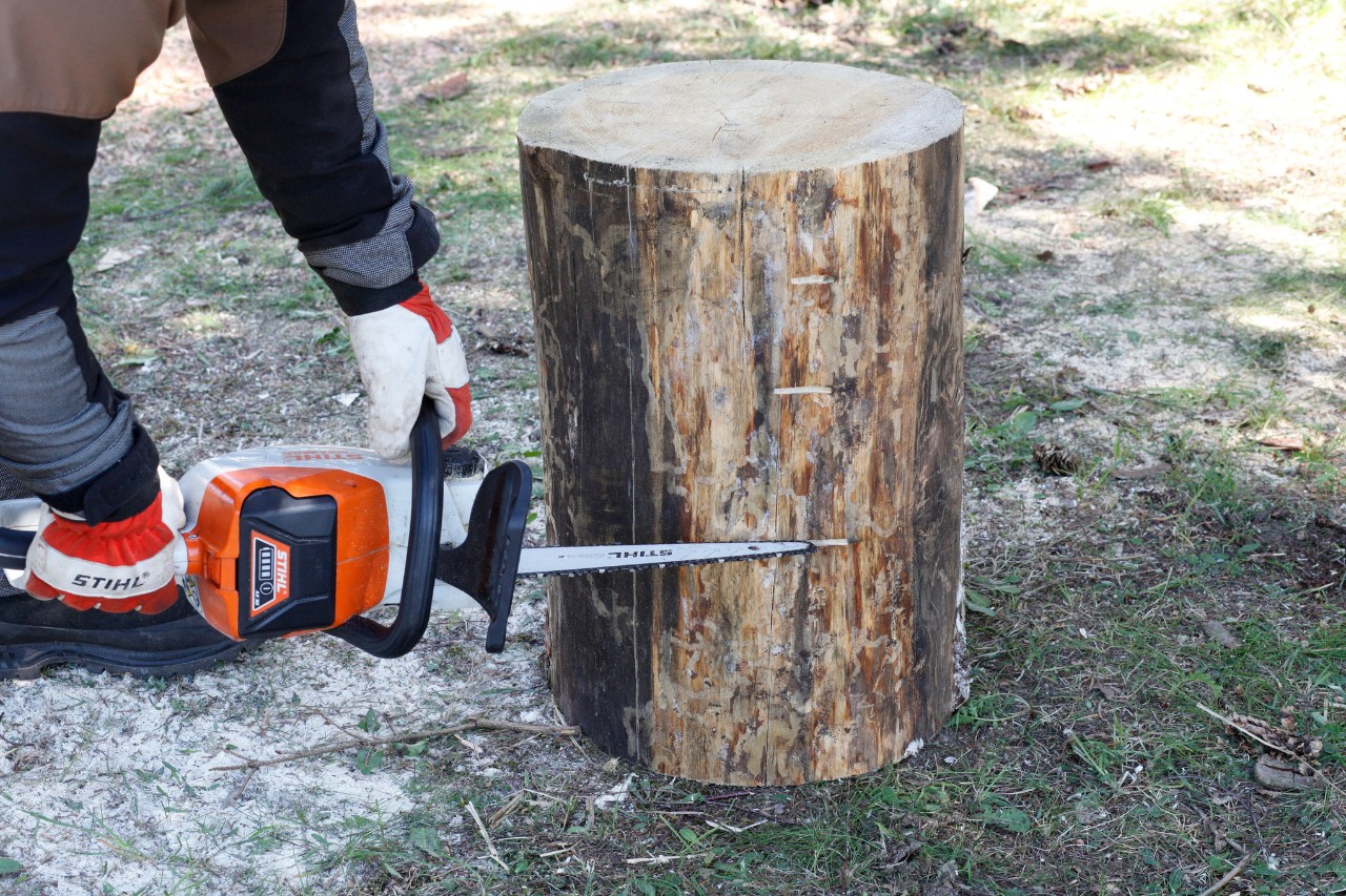 Um Kürbis aus Holz selber zu machen, werden mit einer STIHL Motorsäge MSA 140 C Einkerbungen in Holzblock gesägt