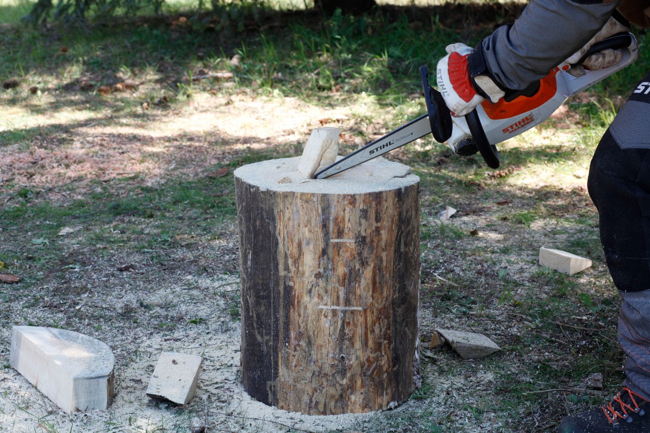 Mit einer STIHL Motorsäge MSA 140 C wird der Stängel für einen Kürbis aus Holz aus Stammstück gesägt