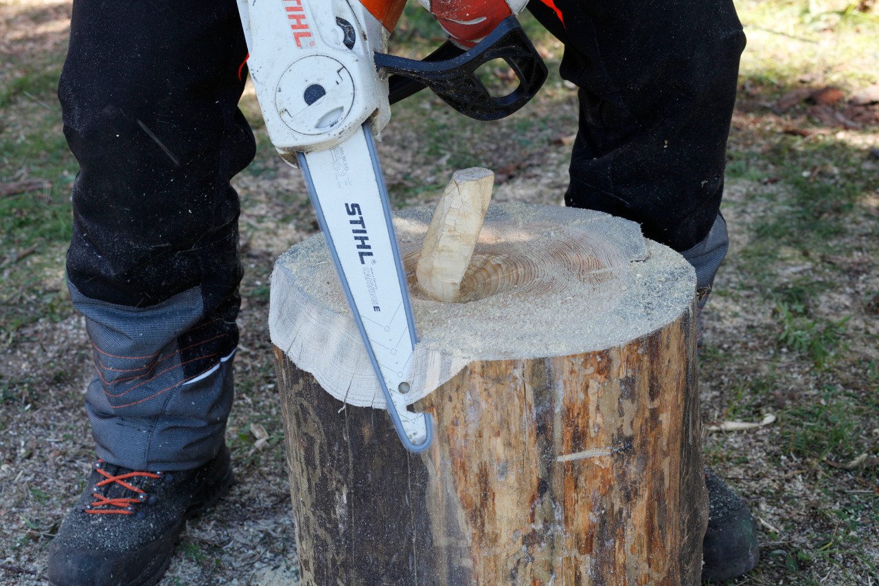 Mit einer STIHL Motorsäge MSA 140 C wird Stammstück in die grobe Form für einen Kürbis aus Holz gesägt