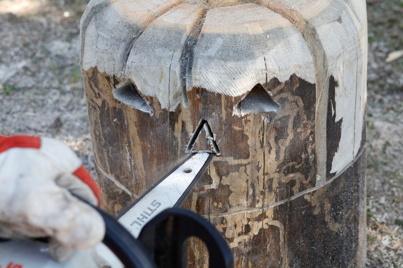 Um einen Kürbis aus Holz selber zu machen, wird mit STIHL Motorsäge MSA 140 C ein Gesicht in Holzstück gesägt