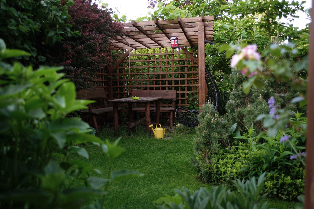 Pergola aus Holz als Rankhilfe zwischen grünen und blühenden Sträuchern im Garten