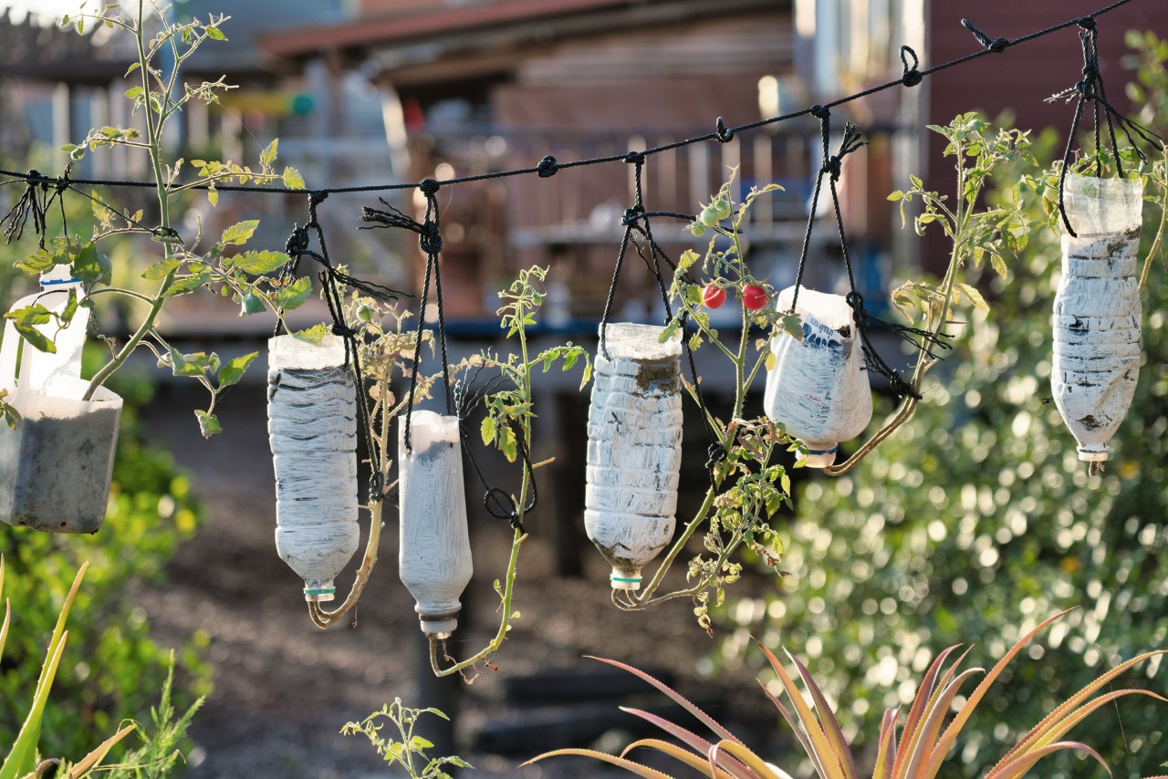 Upcycling-Rankhilfe aus alten Plastikflaschen an einer Schnur