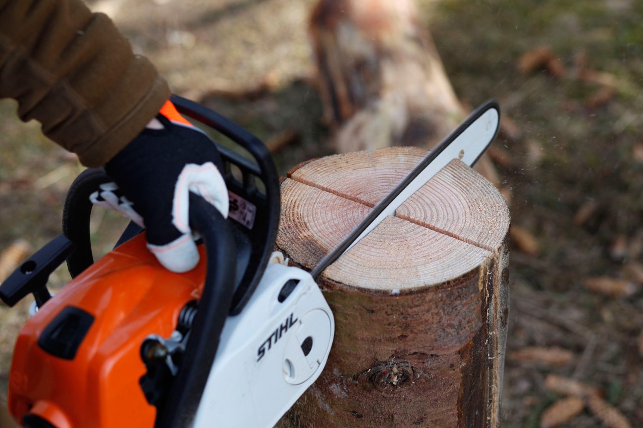 Baumstamm wird mit STIHL Benzin-Kettensäge MS 181 C zweimal eingeschnitten