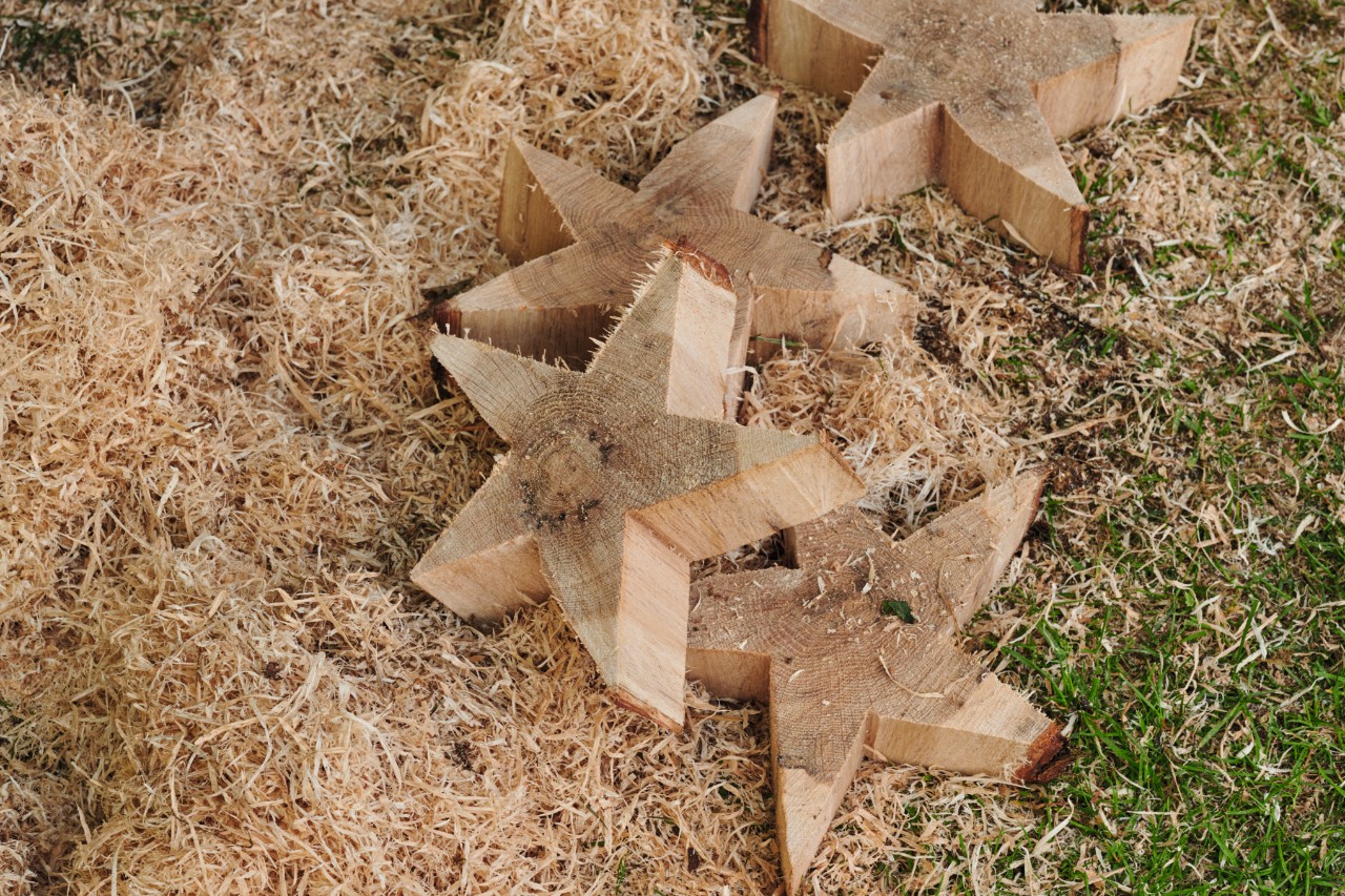 Einige frisch gesägte Holzsterne liegen in Sägespänen auf dem Rasen