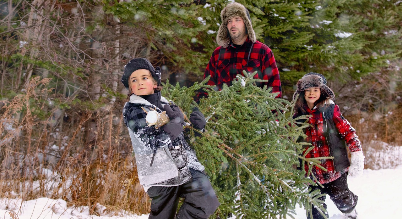 Vater trägt mit seinen zwei Kindern einen Weihnachtsbaum nach dem Weihnachtsbaumschlagen durch den Schnee