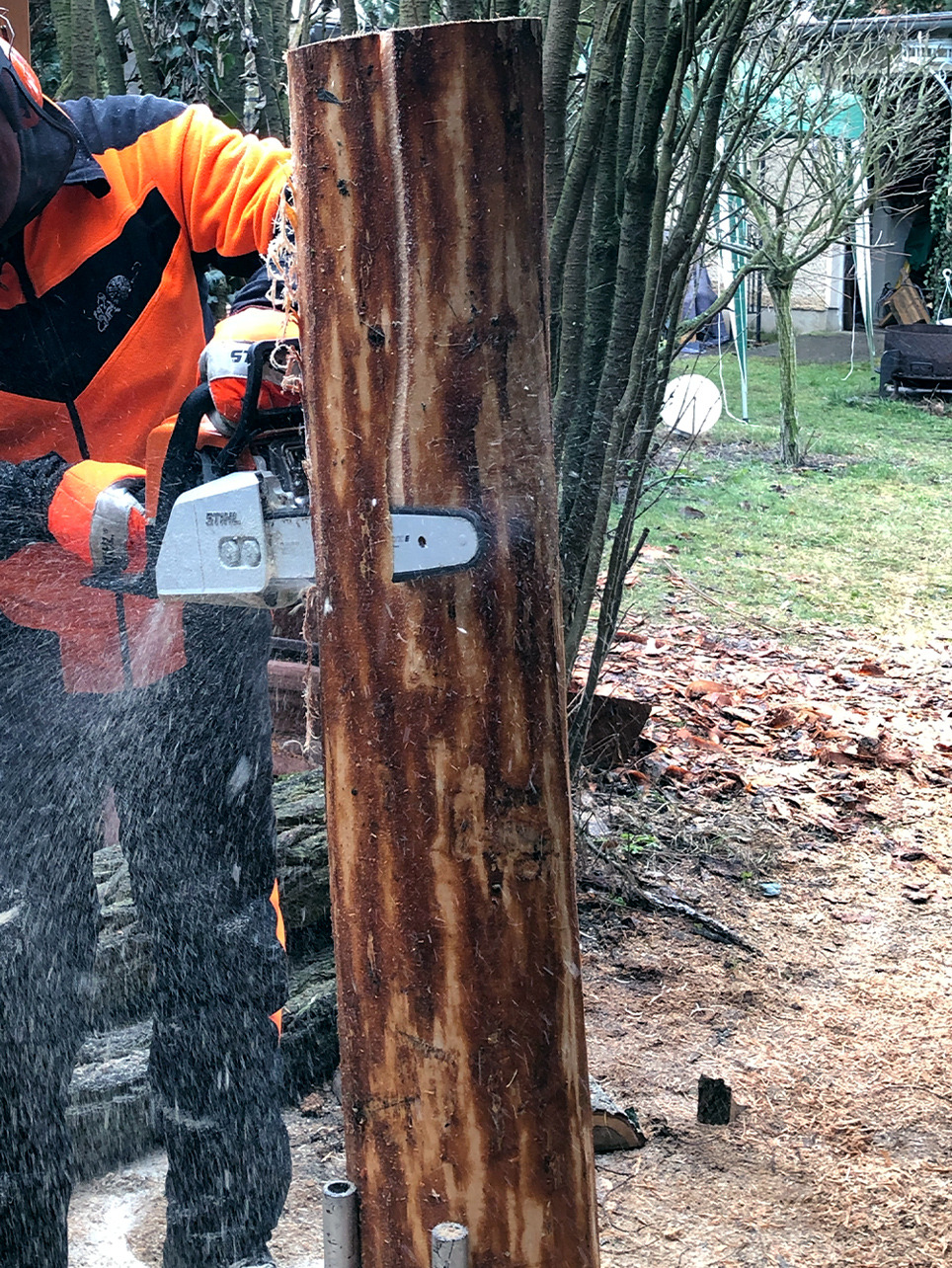 Person in Schutzkleidung entfernt mit einer STIHL die äußere Holzschicht von einem Stammstück entfernt