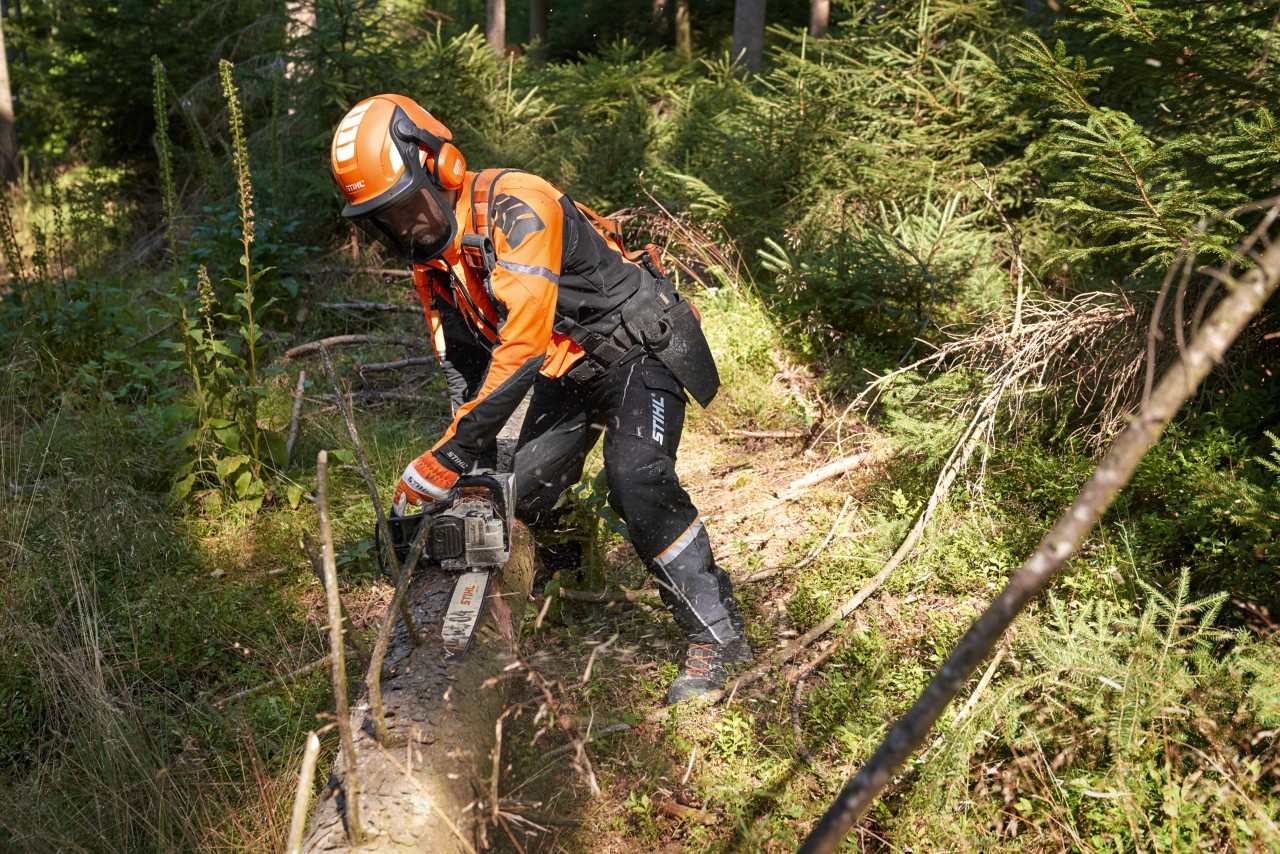 Arbeiter in Schutzkleidung mit STIHL Kettensäge mit Führungsschiene Light 04 im Wald bearbeitet Baumstamm