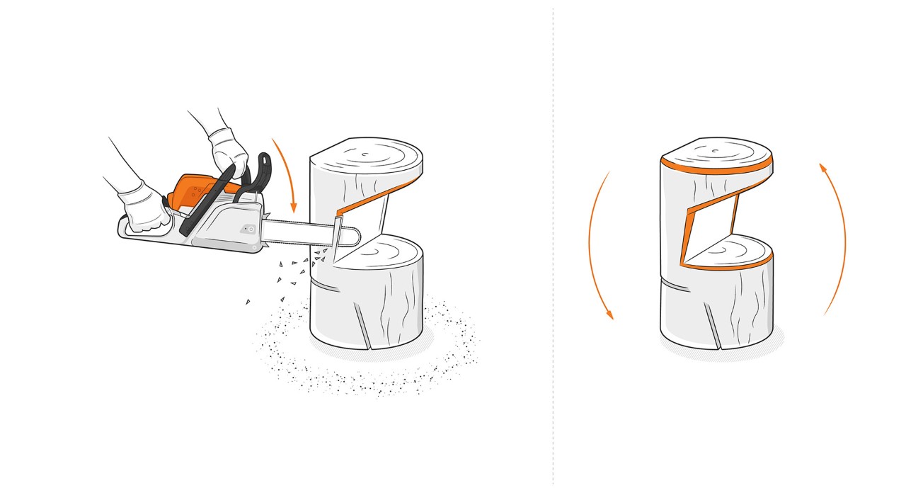 Illustration: Am Sockel werden Säuberungsschnitte mit STIHL Kettensäge durchgeführt