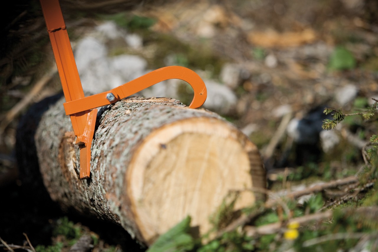 STIHL Fällheber greift in Baumstamm