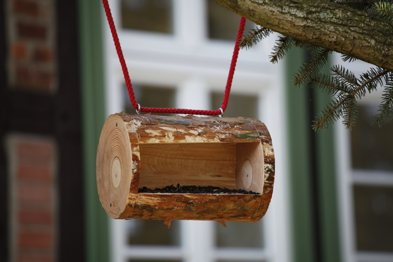 Selbstgebaute, an einem Ast aufgehängte Vogelfutterstation 