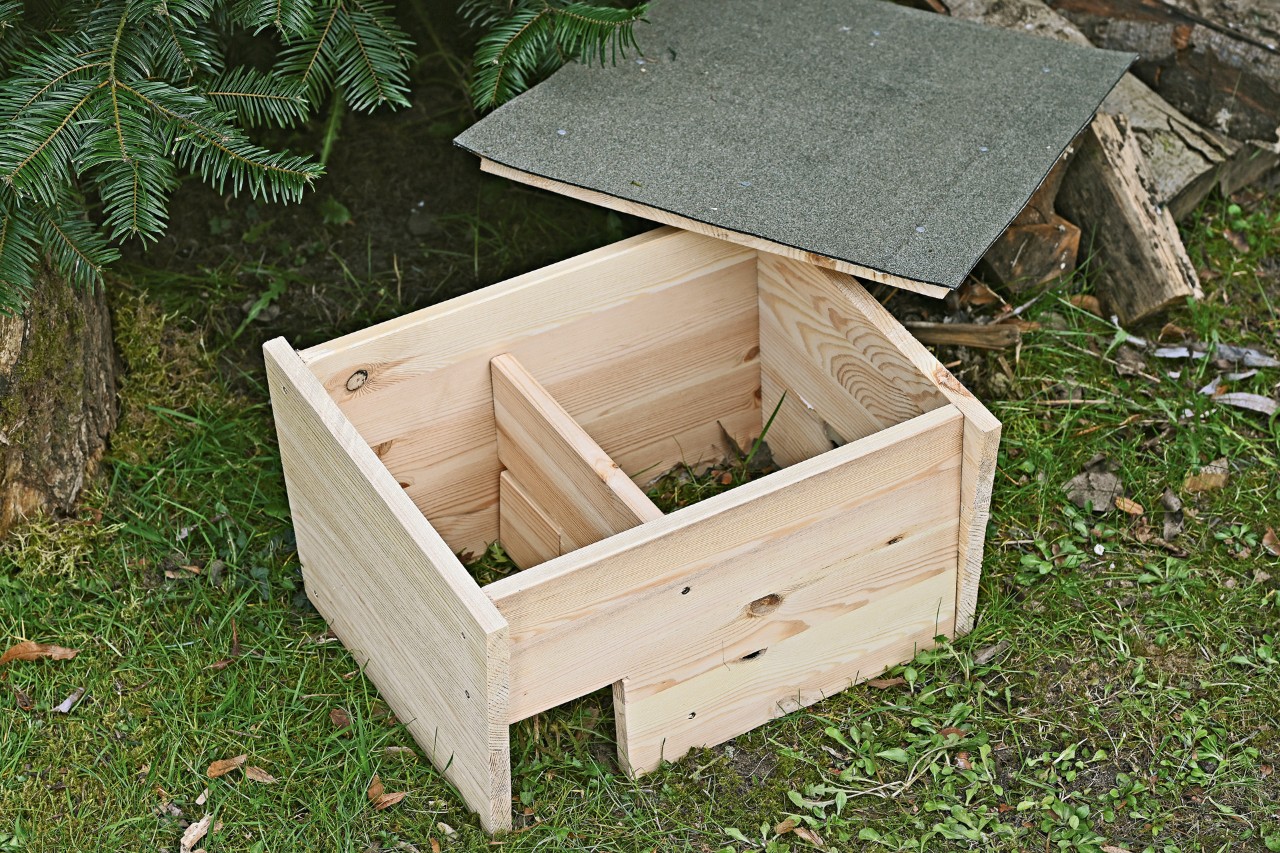 Deckelplatte mit Dachpappe und offenes Igelhaus unter einer Tanne