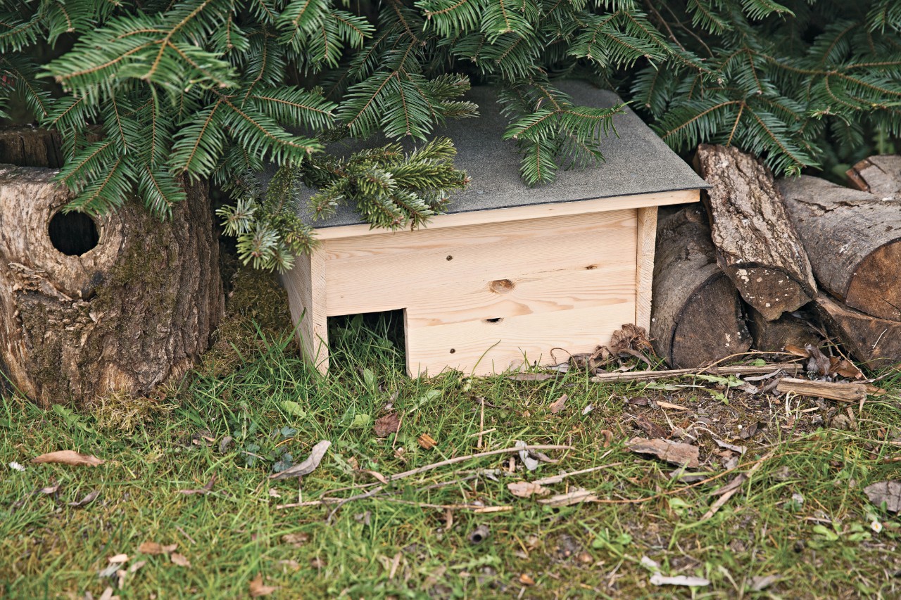 Selbstgebautes Igelhaus in einem Garten unter einer Tanne