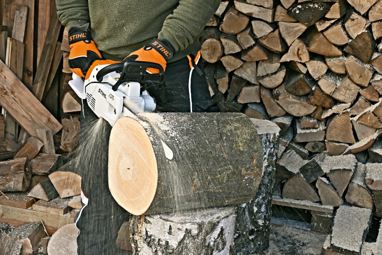 Person sägt eine Scheibe für das  Dach eines Insektenhotels mit einer STIHL Benzin-Motorsäge MS 151 C ab.