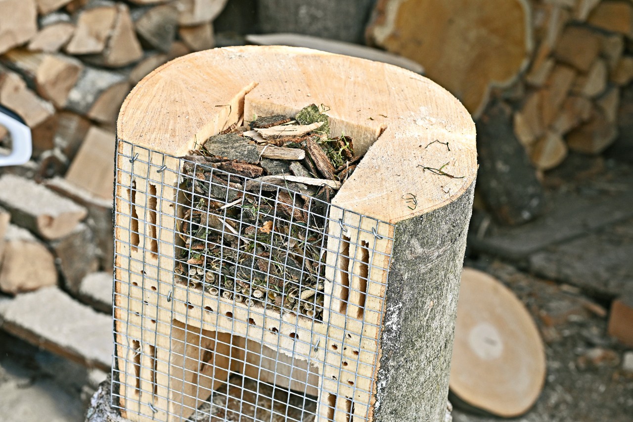 Unterseite eines mit Rindenmulch und Schilfröhrchen befüllten Insektenhotels zum Selberbauen