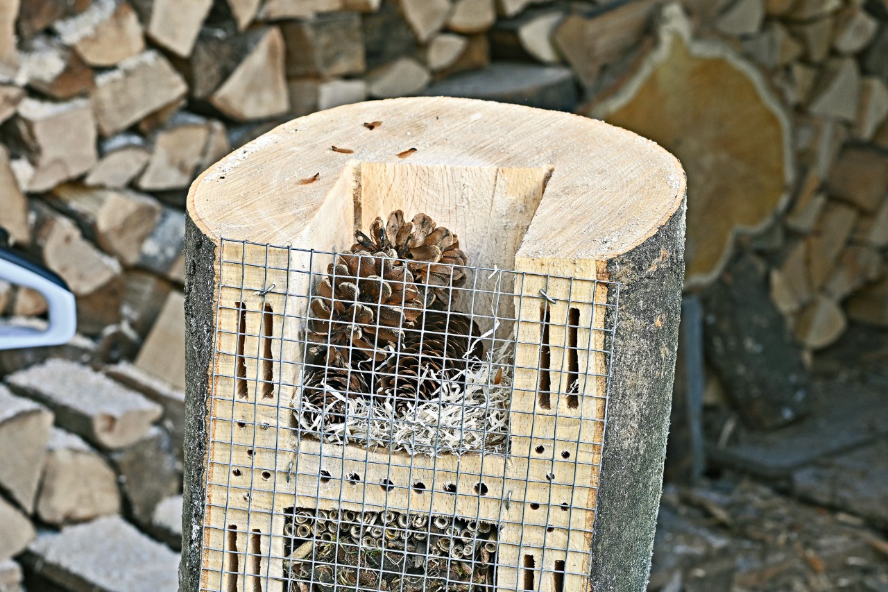 Oberseite eines mit Rindenmulch, Schilfröhrchen und Tannenzapfen befüllten Insektenhotels