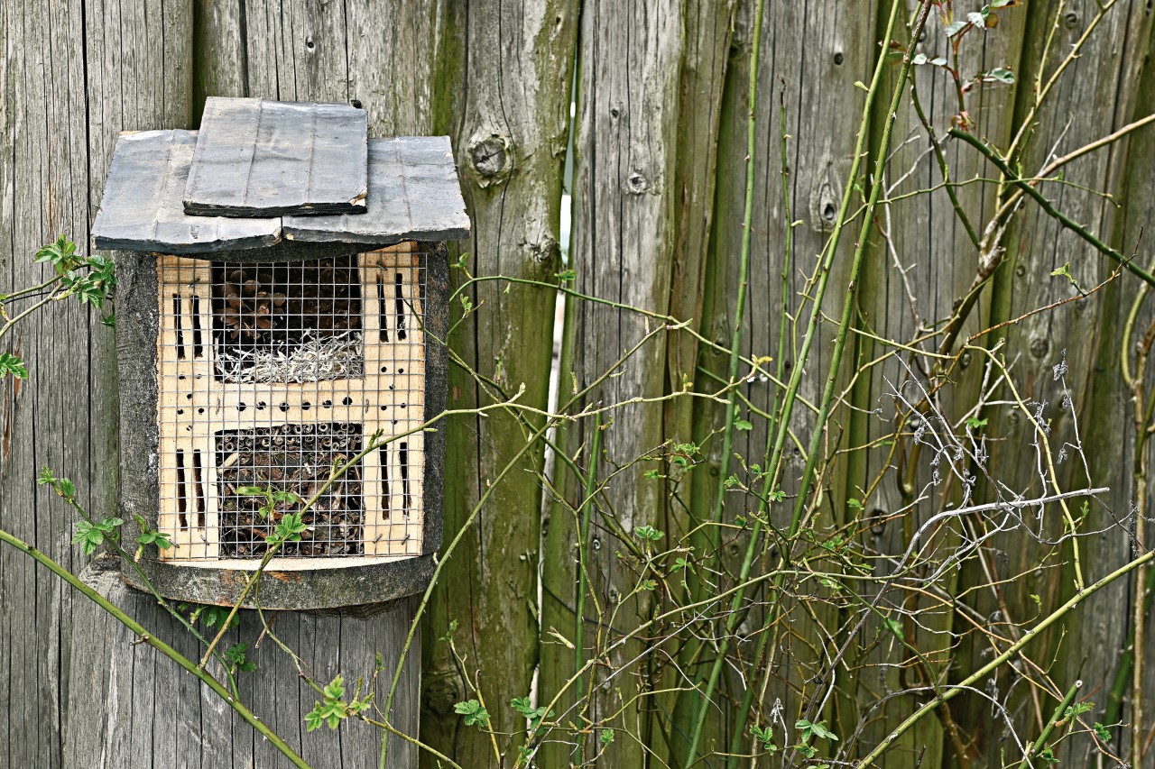 Insektenhotel zum Selberbauen auf einem Baumstumpf vor einem Holzzaun