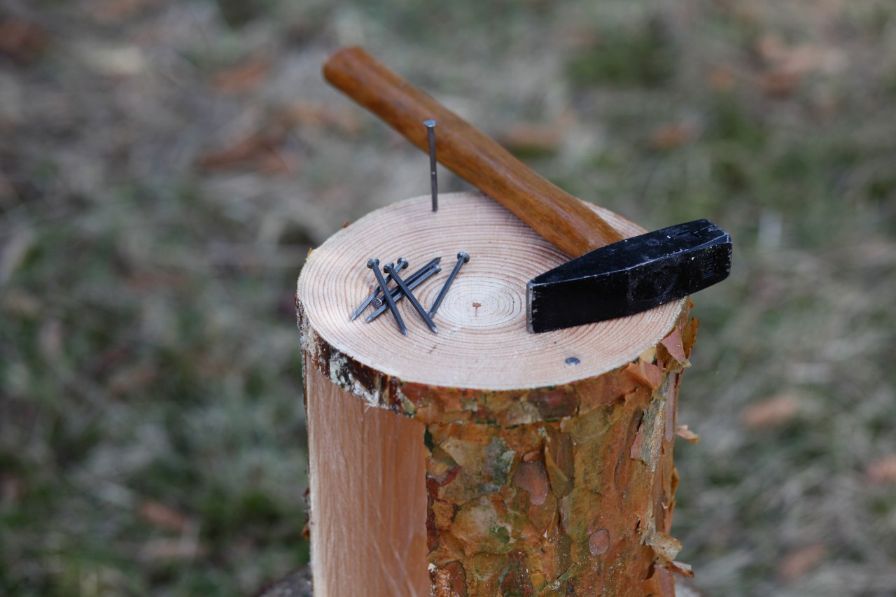 Vogelfutterspender selber bauen