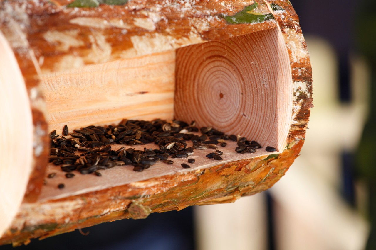 Vogelfutterspender selber bauen