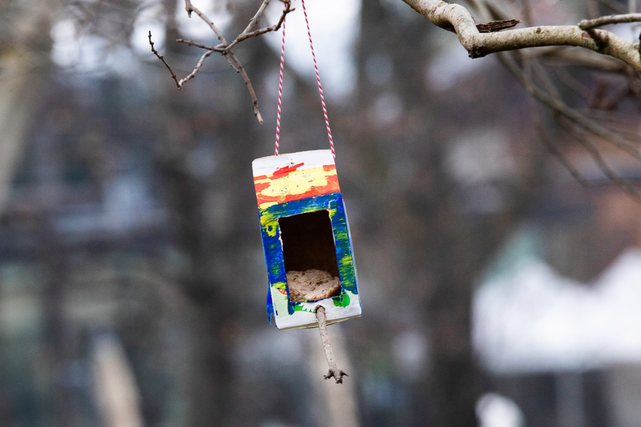 Vogelfutterspender selber bauen