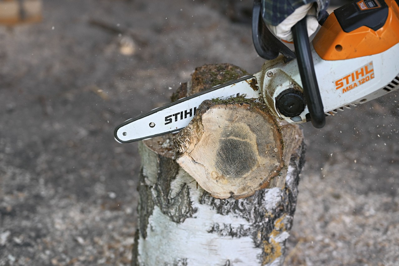Nahaufnahme, wie mit der Akku-Motorsäge STIHL MSA 120 ein Baumabschnitt zurechtgesägt wird, um einen Weihnachtsbaum aus Ästen zu bauen