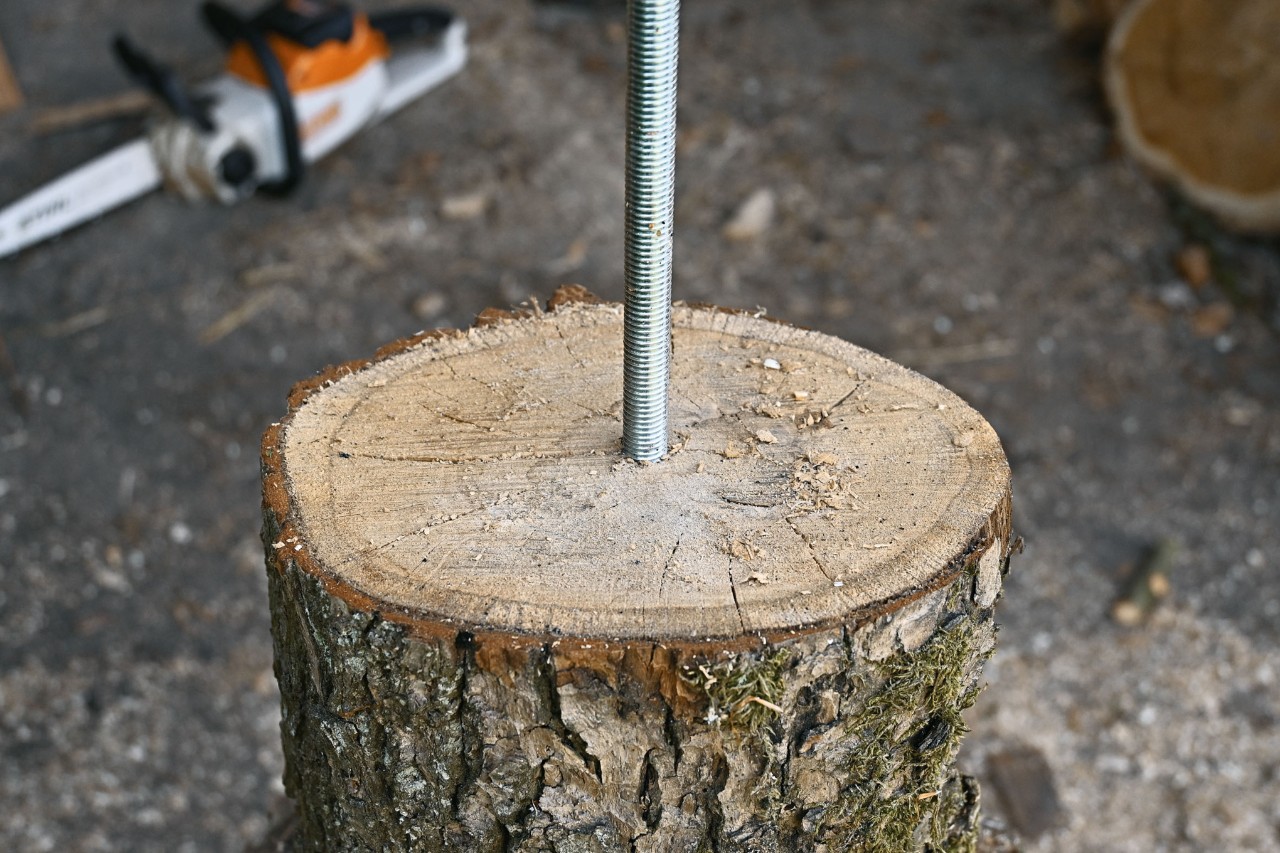 Nahaufnahme, wie eine Gewindestange in einen Baumabschnitt gebohrt wird