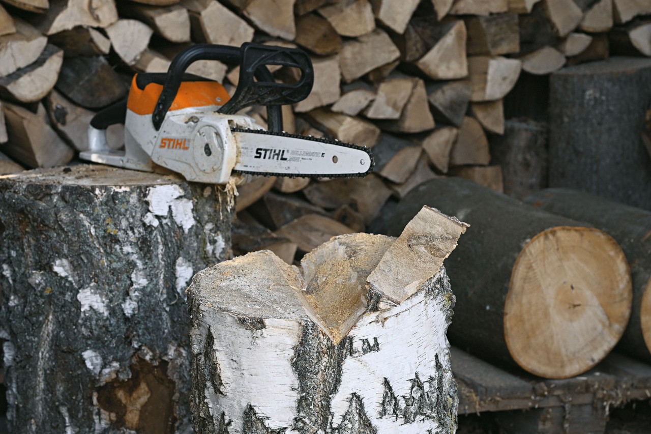 Akku-Motorsäge STIHL MSA 120 und ein Baumstamm, in den eine Kerbe gesägt wurde