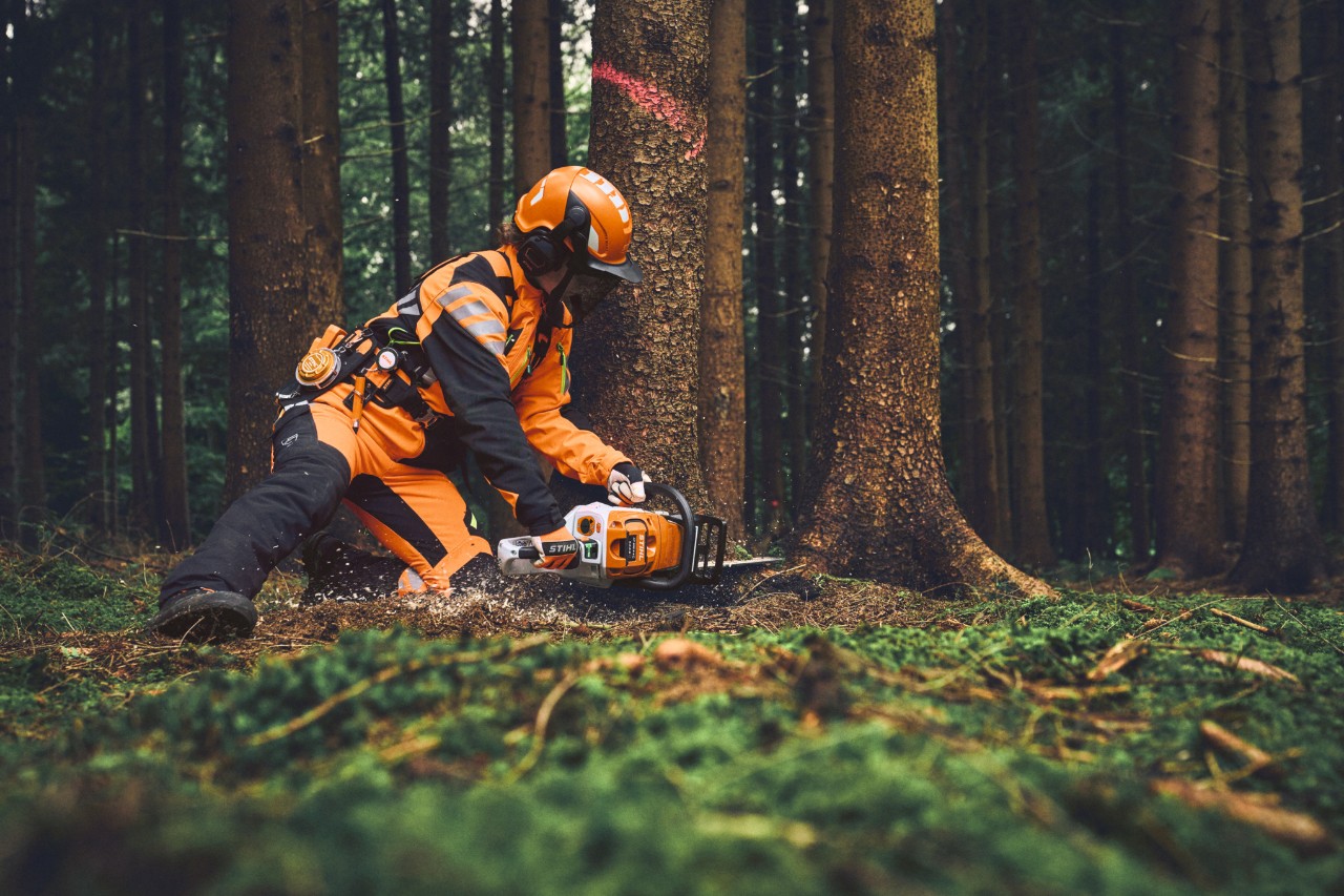 Ein Forstarbeiter mit STIHL PSA beschneidet einen Baum mit der einer STIHL Akku-Kettensäge im Wald