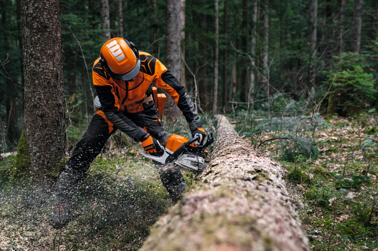 Mann in Schutzausrüstung sägt gefällten Baumstamm mit einer STIHL Benzin-Motorsäge MS 400 C-M mit Magnesiumkolben