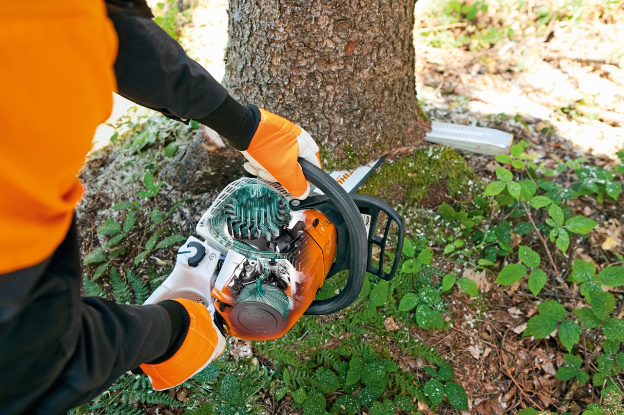 Baumstamm wird mit STIHL Benzin-Kettensäge MS 241 C-M zersägt