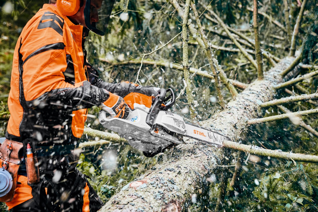Mann in Schutzausrüstung zersägt Baum mit STIHL Benzin-Kettensäge mit M-Tronic und Führungsschiene Light 04